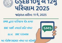 GSEB 10મું અને 12મું પરિણામ 2025
